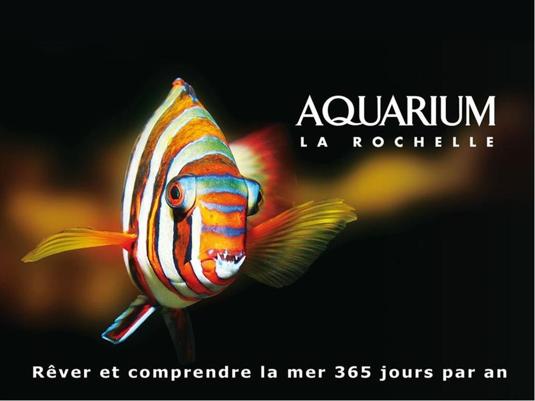 L aquarium de la rochelle1
