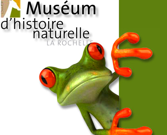 Museum d histoire naturelle et d ethnologie